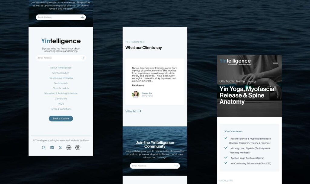 Yintelligence website design mockup by Revo